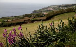 Açores