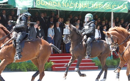 GNR gasta meio milhão para alimentar e deitar cavalos