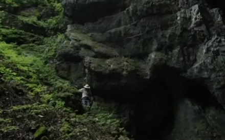 Descobertas 45 cavernas na floresta chinesa