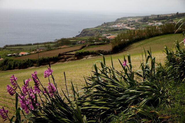 Covid-19: Açores considerados 'um dos destinos mais seguros na Europa' em 2020