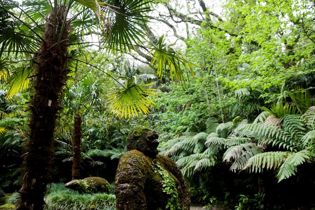Açores querem emitir até 455 milhões em dívida a 10 anos