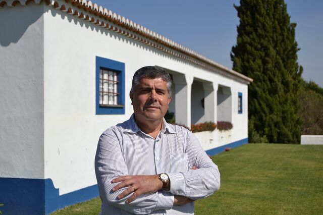 Estrangeiros também caçam casas no campo