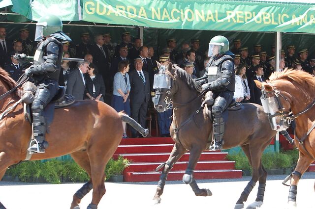 GNR gasta meio milhão para alimentar e deitar cavalos
