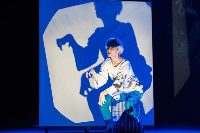 O que fazer no fim-de-semana? Há teatro infantil, pistas de gelo e uma exposição sobre o clima 