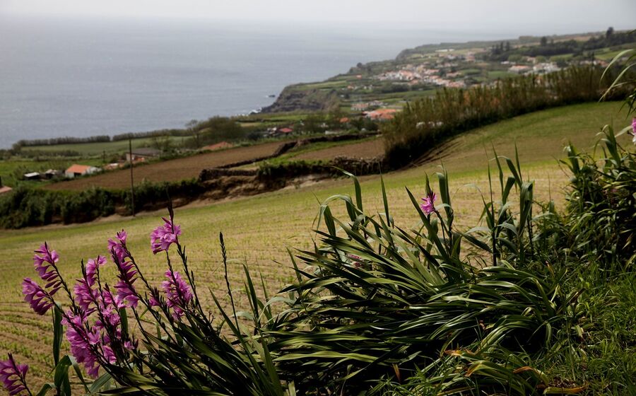 Açores
