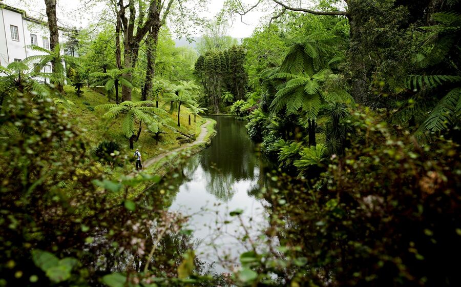 Açores