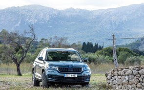 Skoda Kodiaq: O urso checo 