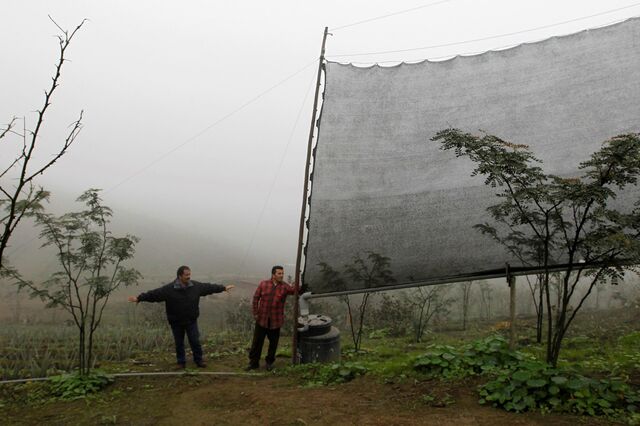 O caçador de nevoeiro 