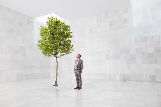 A conveniência da verdade ambiental