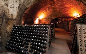 Fiscalização dos vinhos do Douro e do Porto com sorteio informático mais afinado 