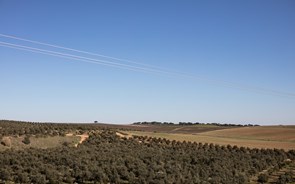 Alqueva trouxe a água a Beja e uma revolução agrícola