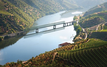 Agência do Ambiente chumba gasoduto da REN no Alto Douro Vinhateiro