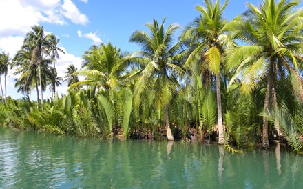 Bohol: Uma obra-prima da natureza 