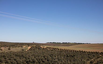 Alqueva trouxe a água a Beja e uma revolução agrícola