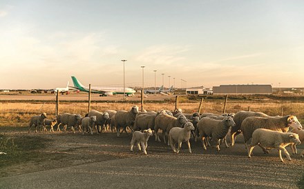 Pelo menos seis voos da British Airways cancelados nos aeroportos de Faro e Lisboa