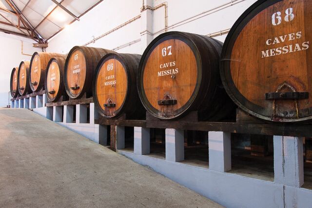 Produção de vinho em Portugal caiu