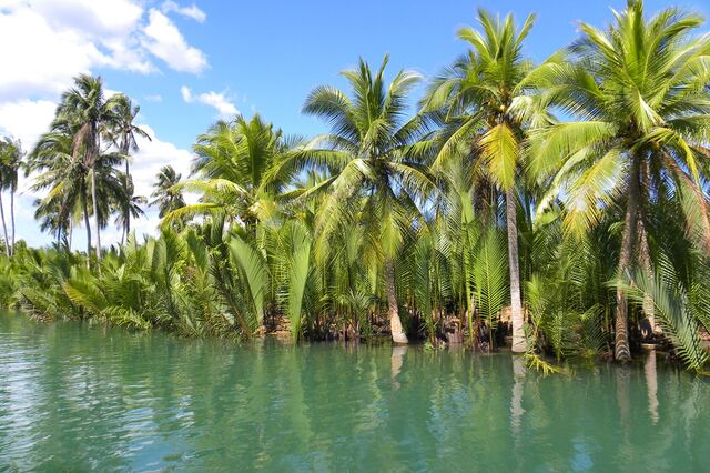 Bohol: Uma obra-prima da natureza 