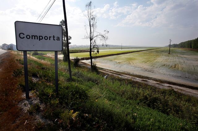 MP justifica travão à venda da Comporta com falta de transparência