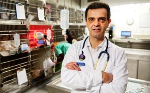 Luís Montenegro: “Gestor que só veja números choca com o negócio veterinário”