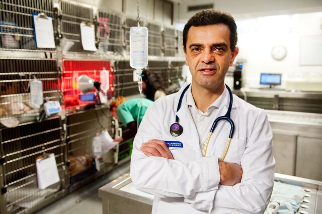Luís Montenegro: “Gestor que só veja números choca com o negócio veterinário”