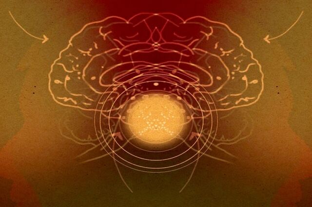 “Hormona do amor” aumenta performance organizacional