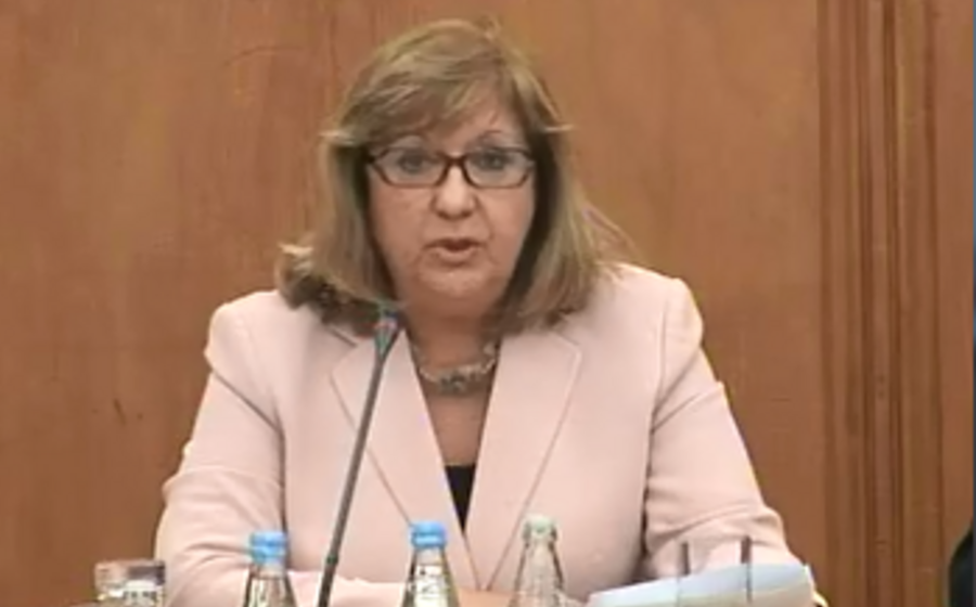 elsa roncon