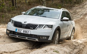 Fotogaleria: Skoda Octavia Scout -  Para todos os caminhos