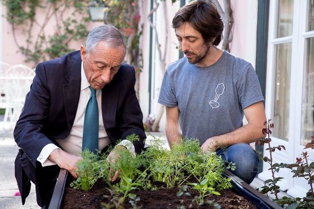 Marcelo já tem uma cama de cultivo no Palácio de Belém