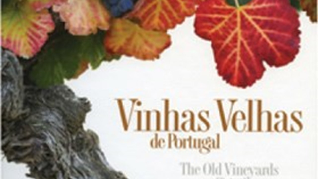 Longa vida à vinha velha - Vinhos - Jornal de Negócios