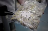 nota50euros notas moedas dinheiro carregado