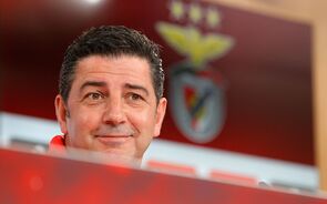 Rui Vitória Benfica