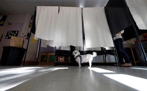 filas votar 