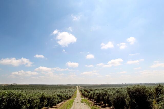 Só os Estados-membros podem resolver cortes no orçamento da UE para a agricultura