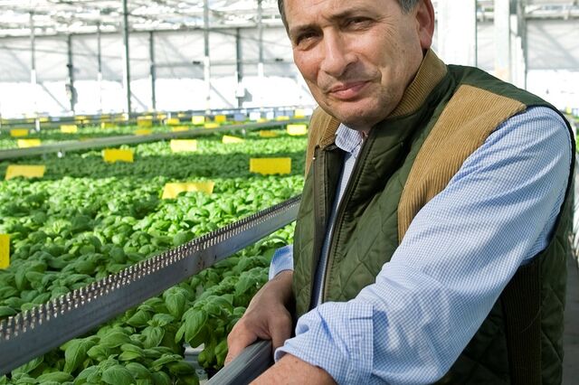 Deputado 'Limiano' ajuda suecos a crescerem nas ervas aromáticas