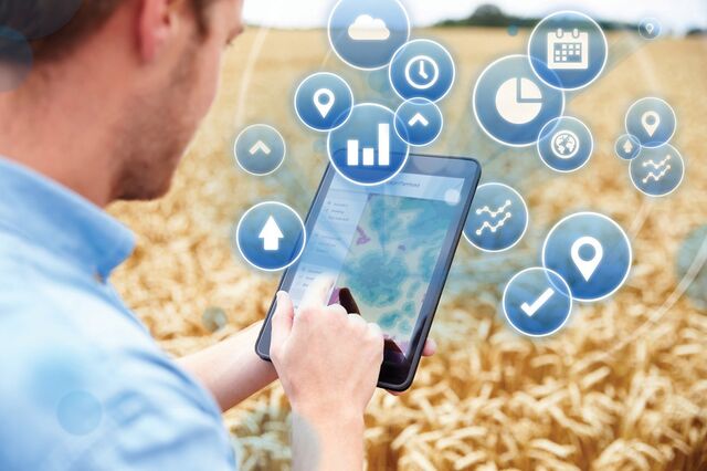 Startups apoiadas pela Startup Braga inovam nos sectores da agricultura e do agro-industrial