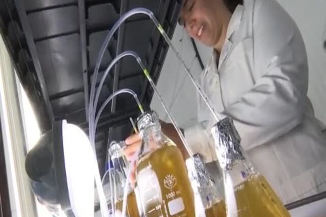 Inovação tecnológica atrai empresas e cria emprego do cluster do mar em Peniche