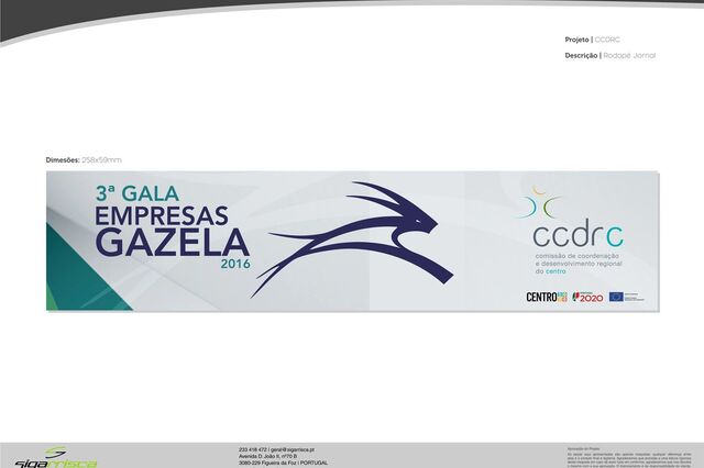 Empresas Gazela 2016 na Região Centro