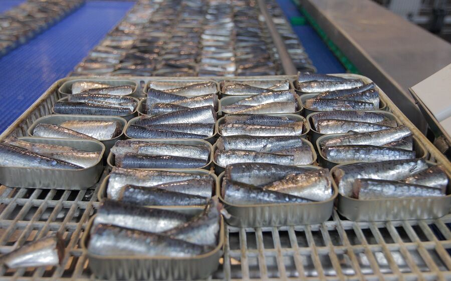 Conservas peixe