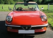 1985 - Alfa Romeo Spider