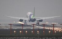c919