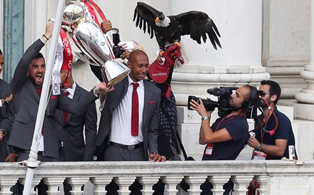 Festa rija do Benfica, agora na Câmara de Lisboa