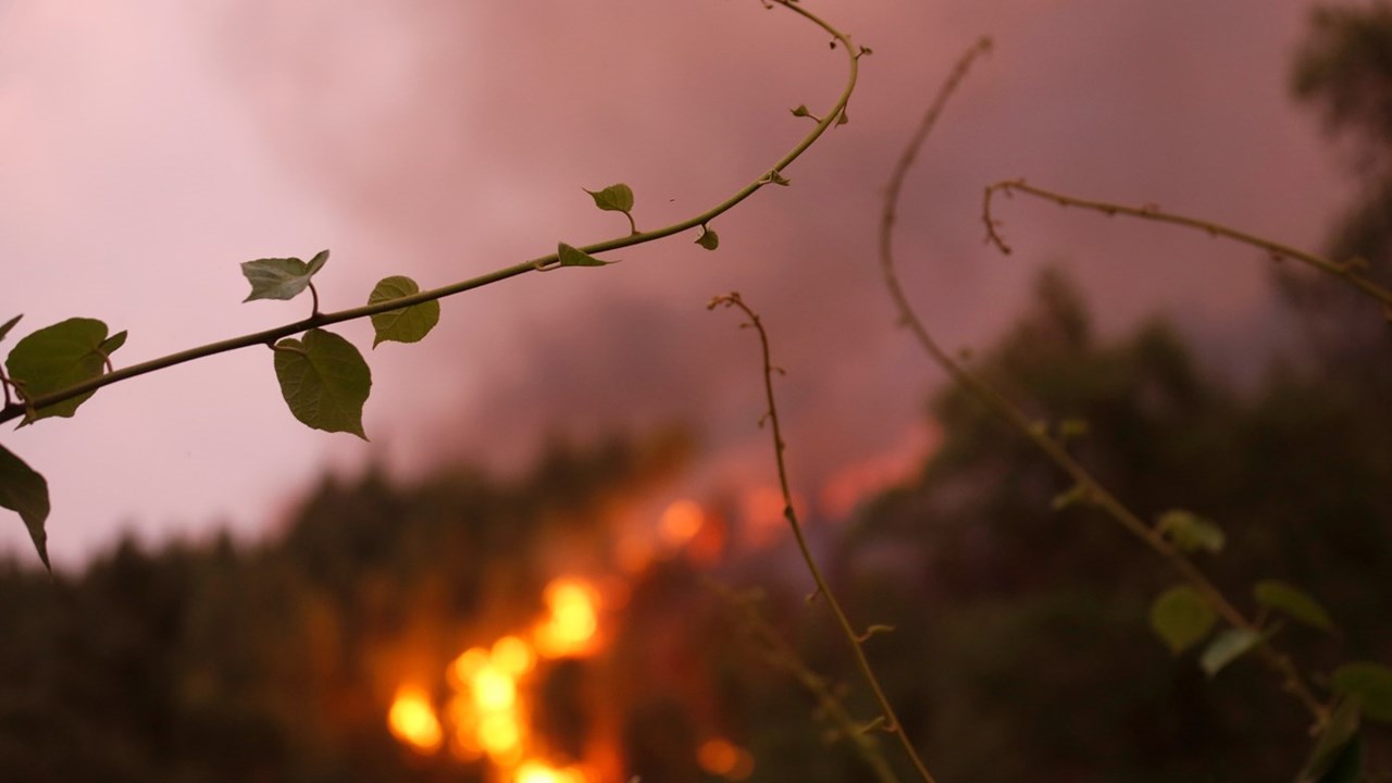 Saiba como evitar incêndios em carros