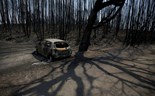 Relatório: Falha em linha da EDP causou incêndio em Pedrógão