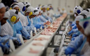 Ataque informático de origem russa suspende processamento de carne nos EUA e Canadá