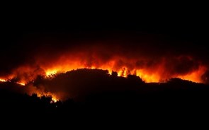 Fotogaleria: O rasto de destruição do incêndio de Pedrógão Grande