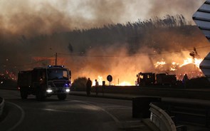 Incêndios: Governo disponibiliza 13 milhões para apoiar pagamento de salários 