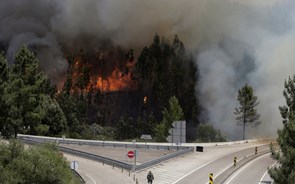 Há habitantes de Pedrógão que continuam com falhas nas telecomunicações mais de um mês após incêndio