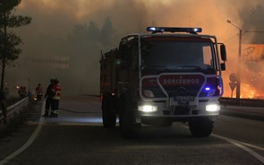 Comissão técnica arrasa comandos e propõe criação de agência para a gestão de fogos