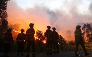 Fogos provocaram 23 feridos ligeiros, 17 são bombeiros 