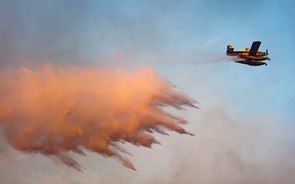 UE mobiliza frota de combate a incêndios para ajudar Portugal